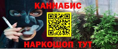 стаф Ярославль