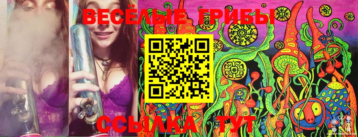 Чебаркуль  купить закладку  Вход с VPN  Галлюциногенные грибы Psilocybe 